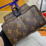 Louis Vuitton Palm Springs Mini M44873 Brown